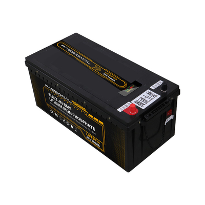Elektrikli Forklift EV Güneş Sistemi Enerji Depolama LFP Pil Paketi BMS ile 24V 150Ah